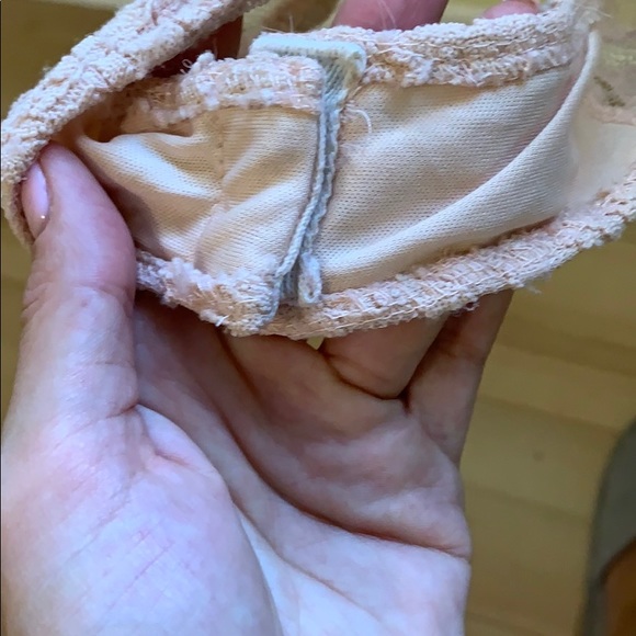 Cream Sans Souci floral mesh bodysuit - Picture 6 of 6